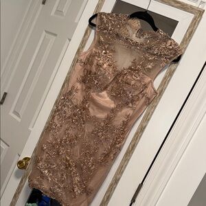 Elegant Lace Embroidered Dress